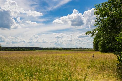 Cloudscape Over Spring Meadow Stock Photo Image Of View Nobody 31934348