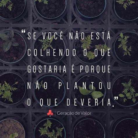 Voce Colhe Oque Planta Frases