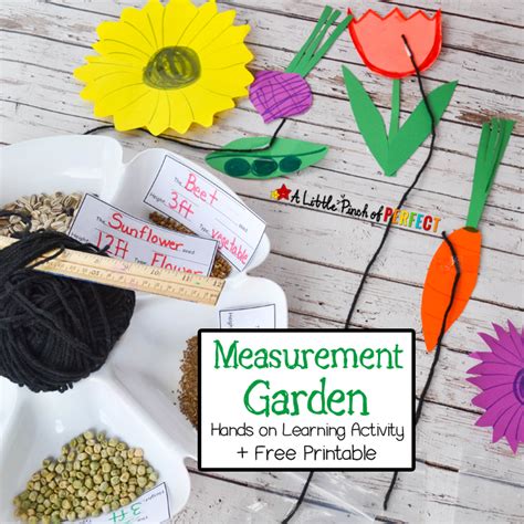 Measurement Garden Hands On Math Activity And Free Printable With