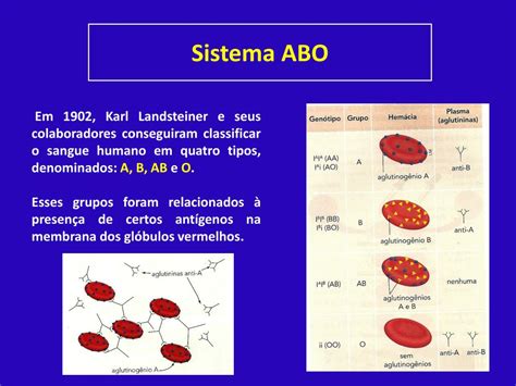 Qual Sangue é Receptor Universal