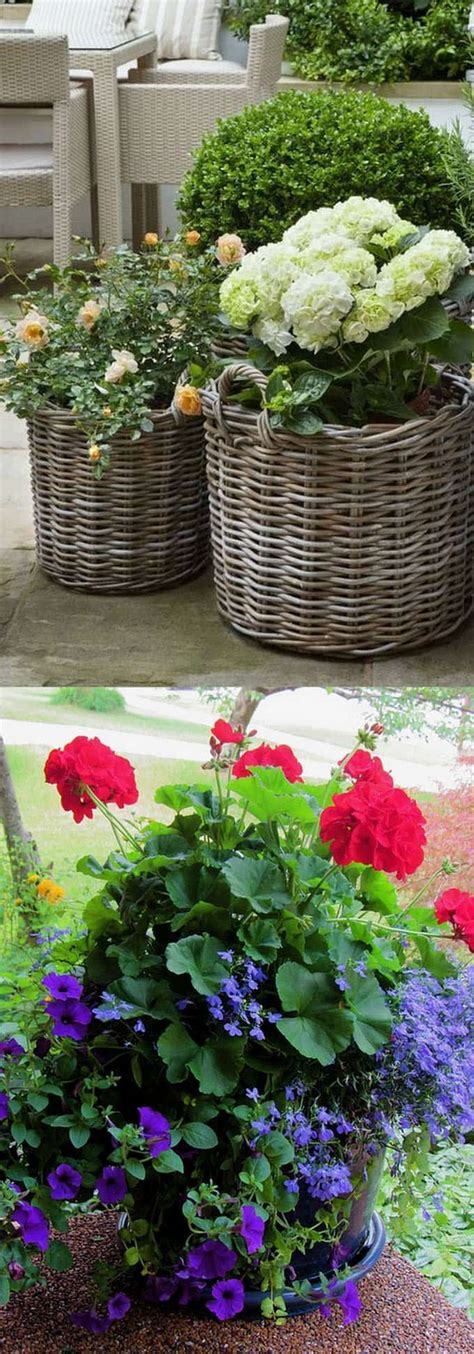 24 Stunning Container Garden Designs With Plant List For Each Lots Of