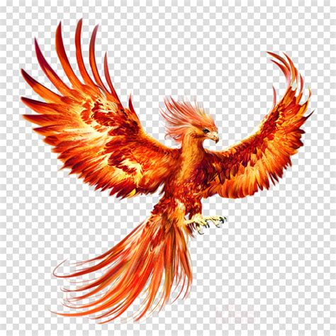 Download Phoenix Bird Phoenix Tattoo Design Phoenix Bird Art
