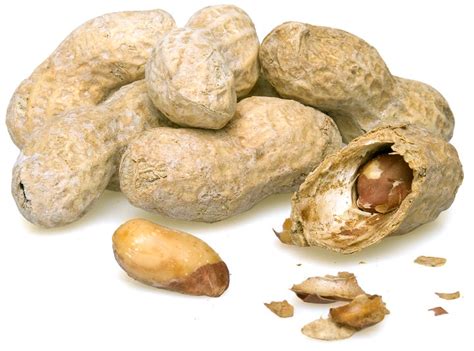 Roasted Peanuts Salted In Shell By The Pound