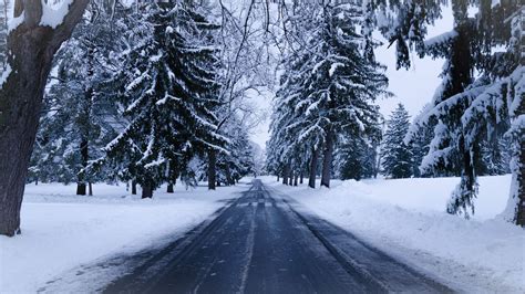 Download Wallpaper 2560x1440 Winter Road Snow Trees