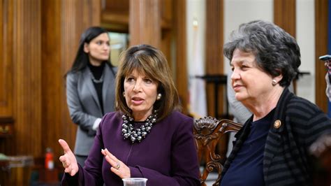 democratic women s caucus