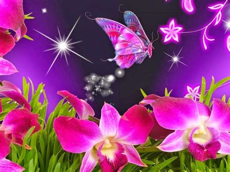 Animated Flower Wallpapers Top Free Animated Flower Backgrounds