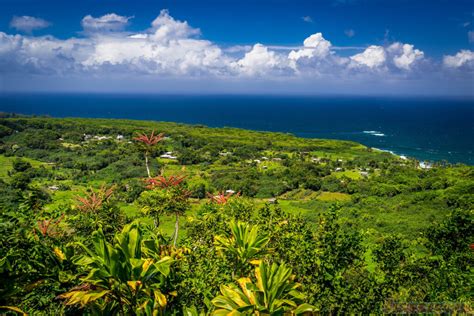 Overlook On The Road To Hana Maui Hawaii