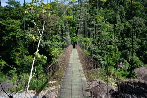 Pico Bonito National Park Holidays Holidays Honduras Journey Latin