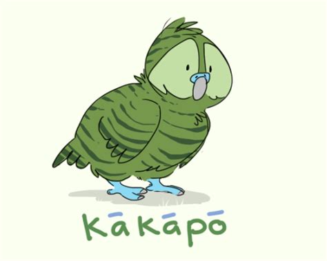 Kakapo On Tumblr