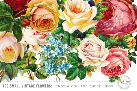 Last Chance Mega Bundle Of Gorgeous Flower Graphics Only 25