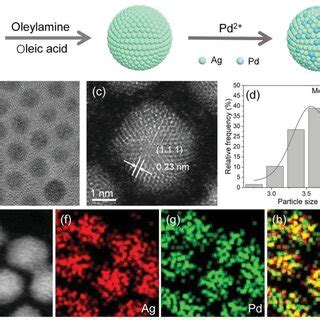 A Xrd Patterns Of Ag Pd And Agpd Alloy Nanoparticles With Ag Pd