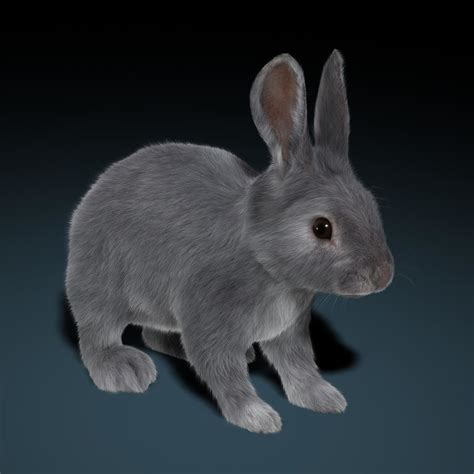 дикий кролик. заяц 3д. кролик 3д модель. 3 д модель для принтера зайчик. зайчики силиконовая форма.