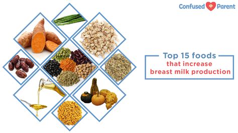 It is a tightly regulated system. Top 15 foods that increase breast milk production