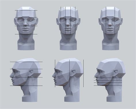 ArtStation Planes Of The Head Study Notes Gusztav Velicsek