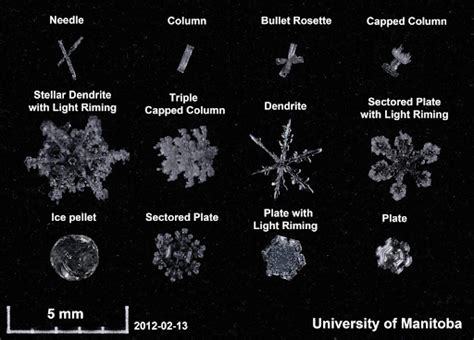 The Science Behind Snowflakes