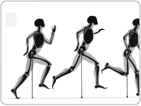 Dibujar El Movimiento Cuerpo Humano Dibujo Referencia De Anatomía