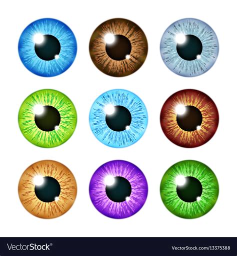 Realistic Multi Colored Eyeball Iris Pupils Set Vector Image