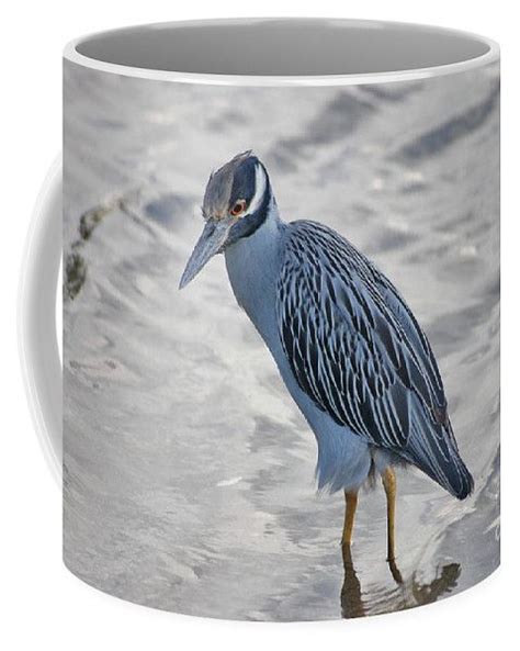 87 Yellow Crowned Night Heron Coffee Mug For Sale By Joseph Keane