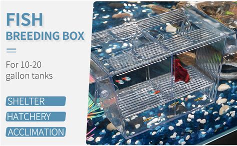 Pawfly Fish Breeding Box Tank Hatchery Incubator Aquarium Isolation Box