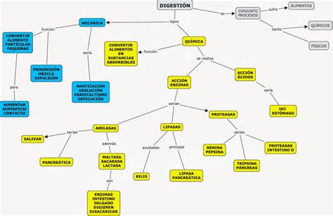 Mapa Conceptual Sistema Digestivo Porn Sex Picture