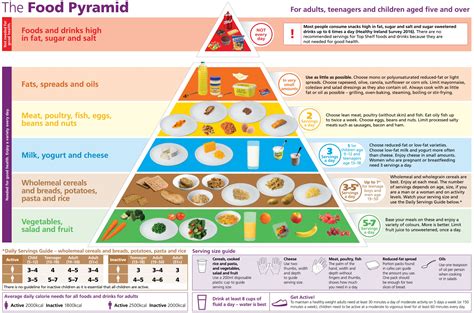 The pyramid is divided into groups or sections and recommends the intake of what does the pyramid depict? What to eat while breastfeeding - HSE.ie