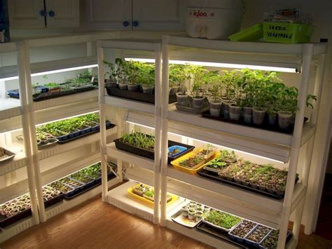20 Beautiful Greenhouse Indoor Plant Design Ideas — Freshouz Home