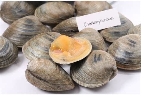 Cherrystone Clams Citarella