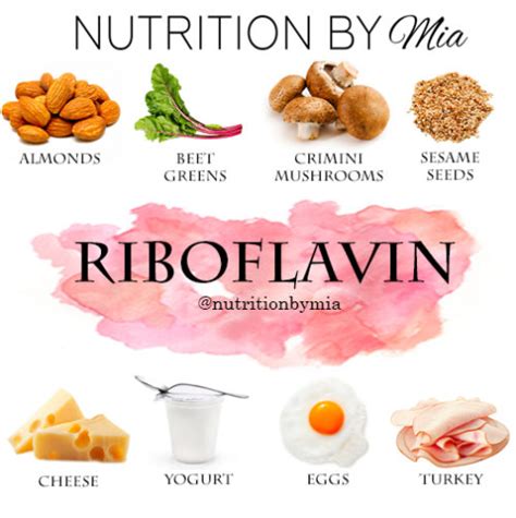 Nutrient Series Riboflavin Nutrition By Mia