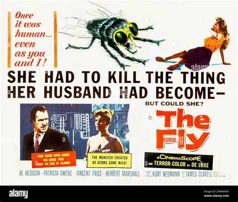 1958 Usa The Original Poster Advertising For The Movie The Fly L