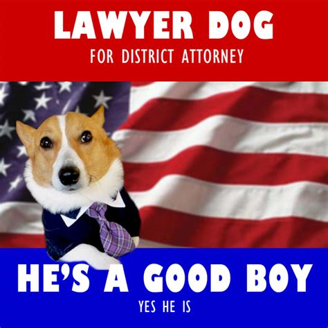 Suspect Asks For A ‘lawyer Dog Willfully Ignorant Court
