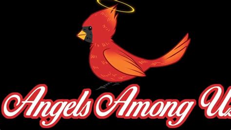 Angels Among Us Videos