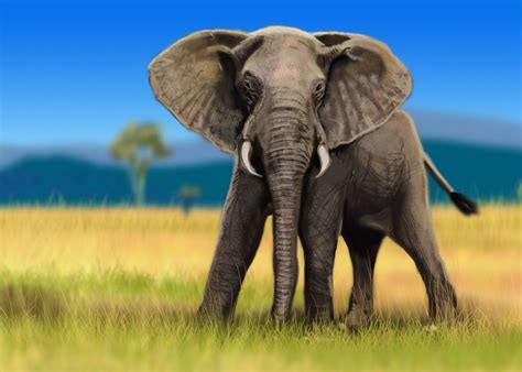 Zoo Park Run Your Own Animal Sanctuary The African Elephant