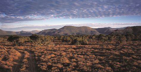 Bespoke Safaris In The Great Karoo South Africa Journeys By Design