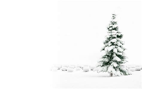 White Christmas Tree Wallpapers Wallpaper Cave