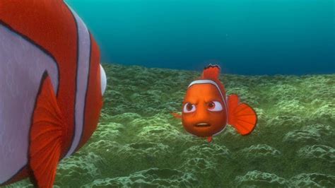 Finding Nemo Finding Nemo Image 3562394 Fanpop