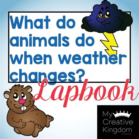 Animals Do When Weather Changes Kindergarten Journeys Unit 3 Lesson 12