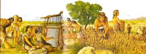 Agropecuaria General Historia De La Agricultura
