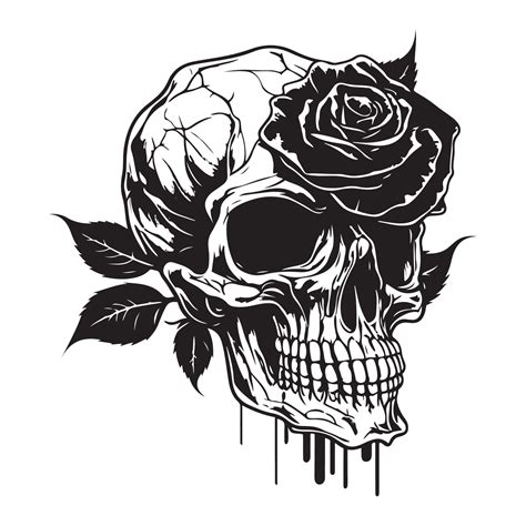 Skull And Rose Drawing