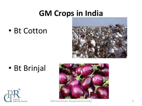 A transgenic organism is a genetically modified organism. GENETICALLY MODIFIED CROPS (GM CROPS).pptx on emaze