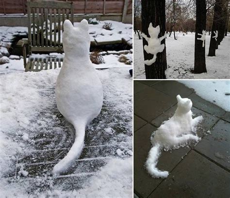 Cute Snow Cats Pictures Photos And Images For Facebook