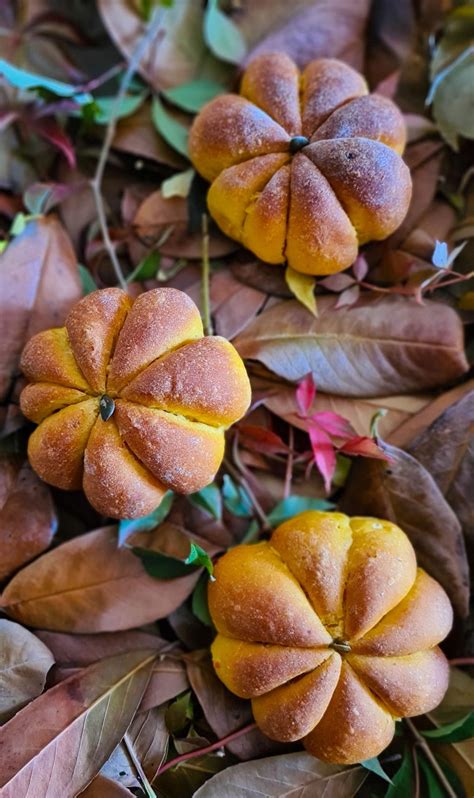 Pumpkin Shaped Pumpkin Buns Tales Of Pastry