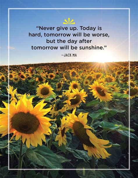 Energize Your Day With These Quotes About Sunshine Sunshine Quotes