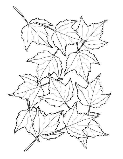 5 Free Fall Coloring Sheets: Autumn Season Coloring Pages - ALL ESL