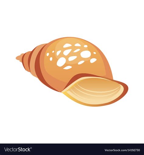 Brown Sea Spiral Seashell An Empty Shell Of A Sea Vector Image