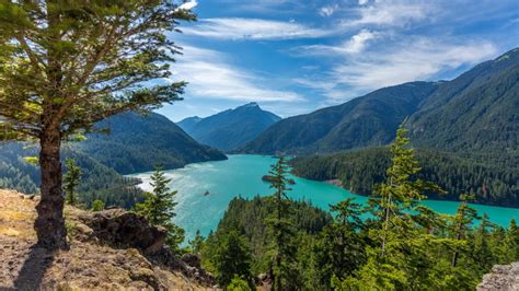 The state boasts vast tracts of forested land, and timber production is naturally one of the state's economic assets. Autumn Landscape Diablo Lake Washington State Us%d0%b0 ...