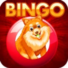 Download bingo v2.3.21 android cheat mod + apk if you like bingo, you should definitely try this game. UPDATE Bingo Of Doge Hack Mod APK Get Unlimited Coins Cheats Generator IOS & Android - 3D ...