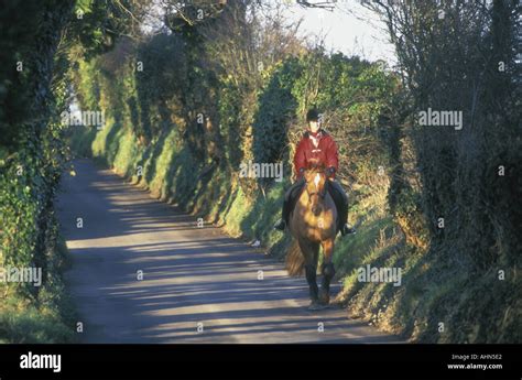 Channel Islands Country Lane Hi Res Stock Photography And Images Alamy