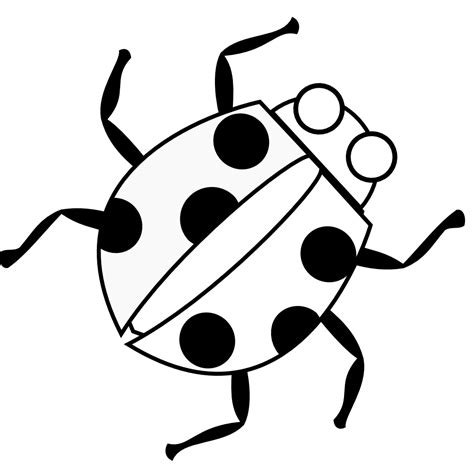 Lady Bug Clipart Black And White