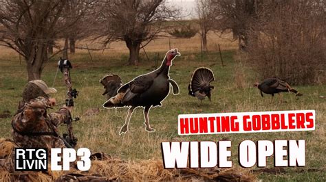 NO BLIND BOWHUNTING BIG GOBBLERS YouTube