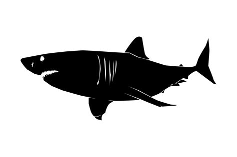 Shark Silhouette Vector Art Graphics Freevectorcom Images
